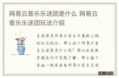 网易云音乐乐迷团是什么 网易云音乐乐迷团玩法介绍