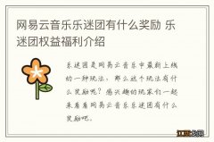 网易云音乐乐迷团有什么奖励 乐迷团权益福利介绍