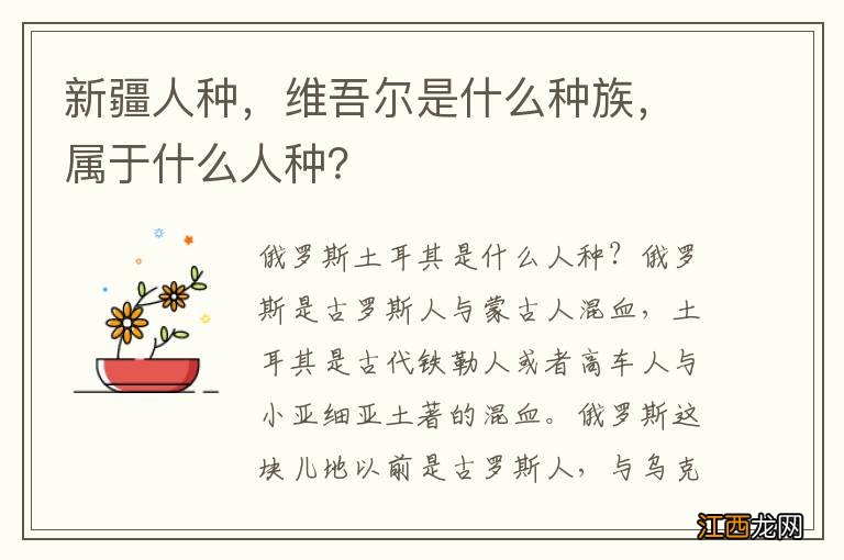 新疆人种，维吾尔是什么种族，属于什么人种？