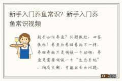 新手入门养鱼常识？新手入门养鱼常识视频