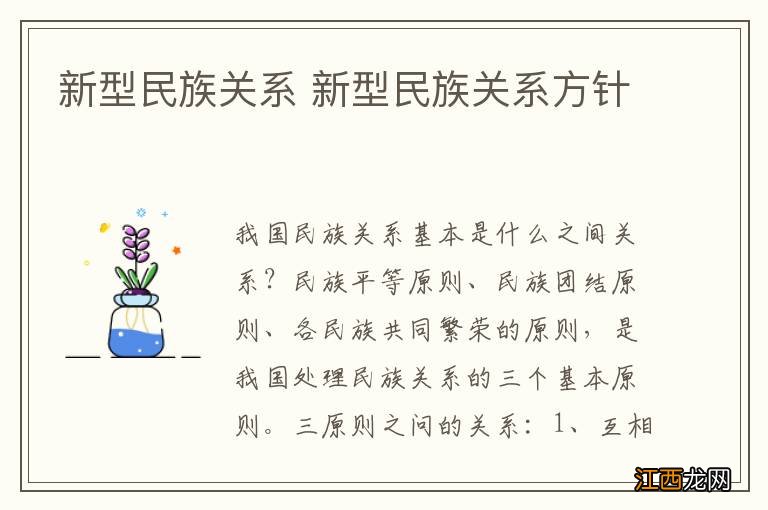 新型民族关系 新型民族关系方针