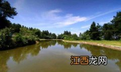 双寨山避暑休闲度假区 双寨山地址