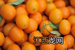 榴莲壳可以冷冻吗？榴莲壳怎么冷冻？