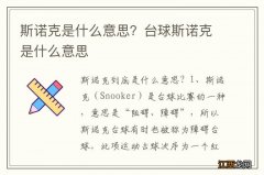 斯诺克是什么意思？台球斯诺克是什么意思