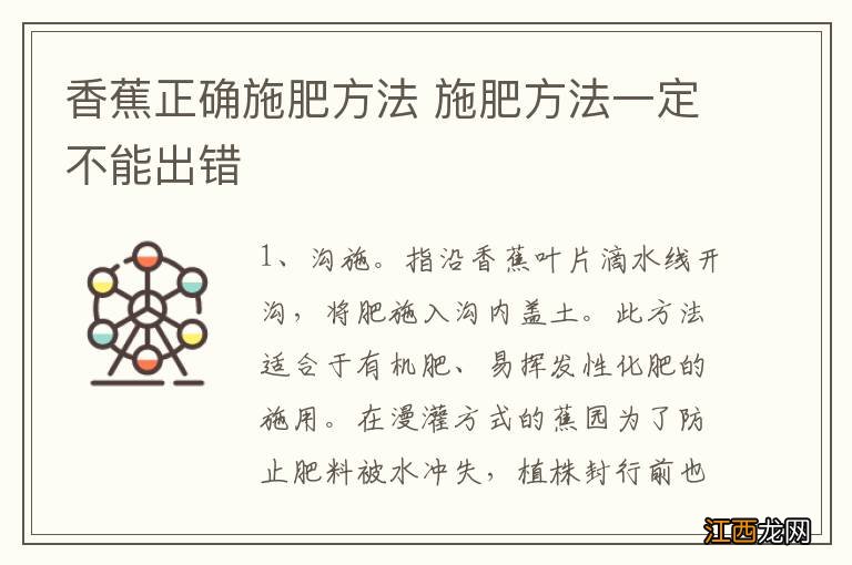 香蕉正确施肥方法 施肥方法一定不能出错