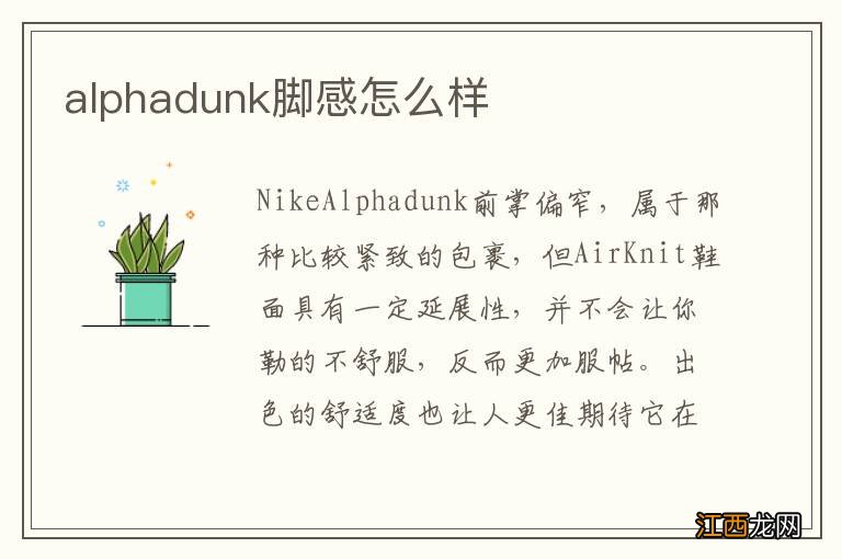 alphadunk脚感怎么样