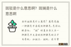 斑驳是什么意思啊？斑斓是什么意思啊