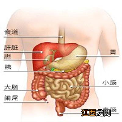 直肠癌化疗后的饮食要注意什么