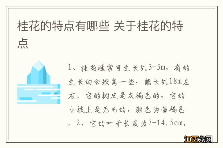 桂花的特点有哪些 关于桂花的特点