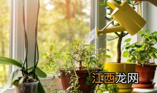 怎么改变自己的磁场和运气? 如何改变磁场提升运气