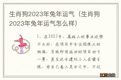 生肖狗2023年兔年运气怎么样 生肖狗2023年兔年运气