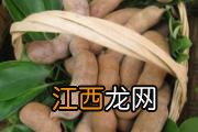 宝宝厌食拉肚子怎么办