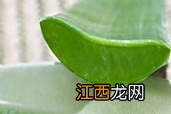 “急救站”安瓶哪些好用？奥洛菲美白淡斑安瓶效果怎么样？