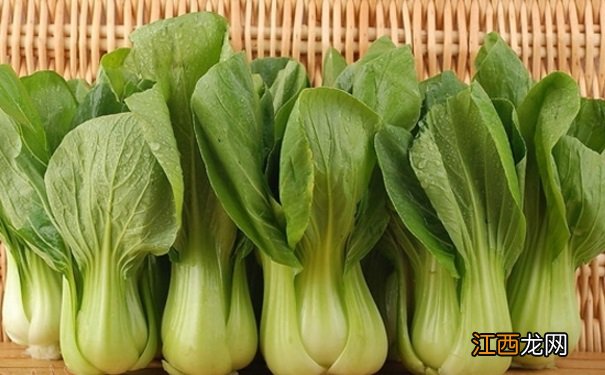 小油菜的营养价值是什么？吃小油菜的好处有哪些？