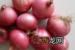 厌食症的食疗法是怎样的？患有厌食症要怎样治疗？