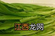 吃油麦菜回奶吗