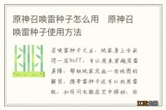 原神召唤雷种子怎么用　原神召唤雷种子使用方法