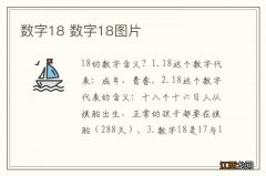 数字18 数字18图片