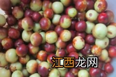 大枣泡水的功效作用有哪些？大枣泡水要注意什么事项？