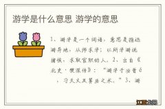 游学是什么意思 游学的意思