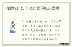 河豚吃什么 什么时候不吃东西呢