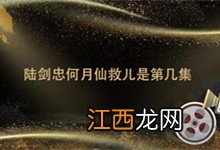 陆剑忠何月仙救儿是第几集 陆剑忠何月仙救儿是哪一集