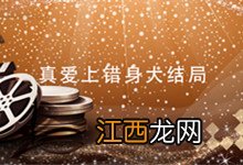 真爱上错身大结局 真爱上错身大结局是什么