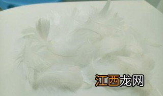 鸭毛防腐方法 如何长时间保存鸭毛