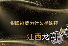 银魂神威为什么是妹控 银魂神威是妹控吗