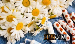 菊花的花语是什么 关于菊花的花语介绍