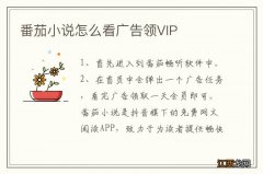 番茄小说怎么看广告领VIP