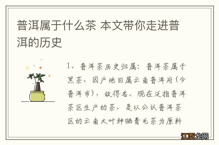 普洱属于什么茶 本文带你走进普洱的历史