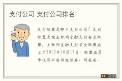 支付公司 支付公司排名