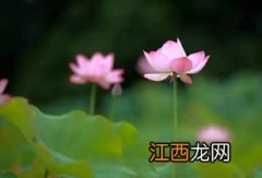 全民k歌怎么发起合唱