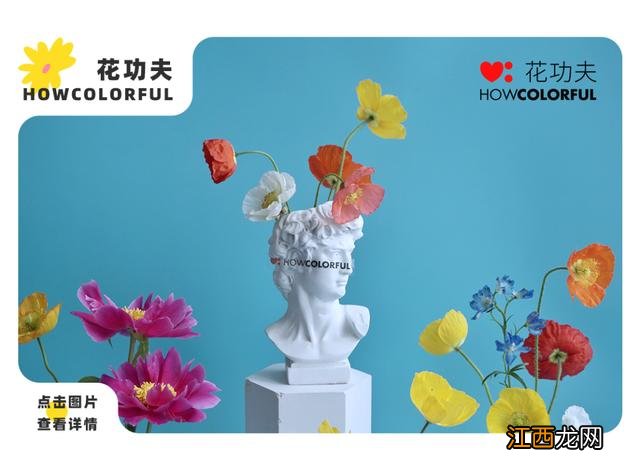 民办专科和公办专科有什么不同