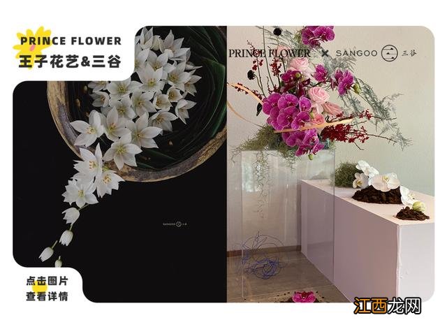 民办专科和公办专科有什么不同