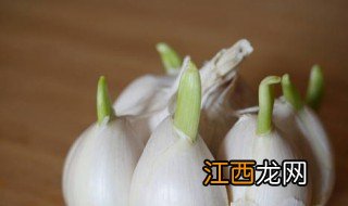 大蒜怎么做发芽 大蒜要怎样才能更快发芽