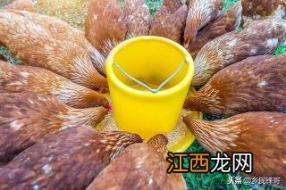 买方不去车能过户吗