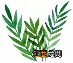 纺织是什么面料