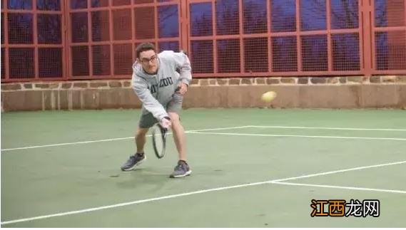 火之灵在雨林哪里