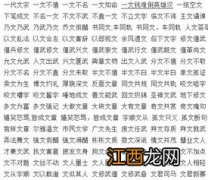 金丝熊垫料用什么好