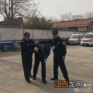 鲫鱼豆腐汤的做法和步骤