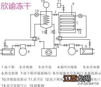 牛肚布会起球吗牛肚布的衣服好吗