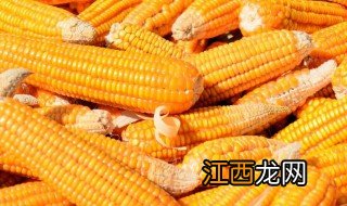 玉米什么时候种植最好 玉米什么时候种植最合适