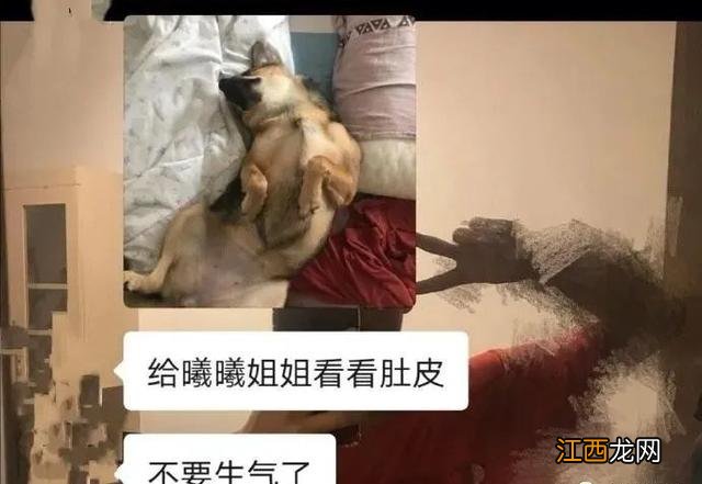 平纹牛皮是怎么解释