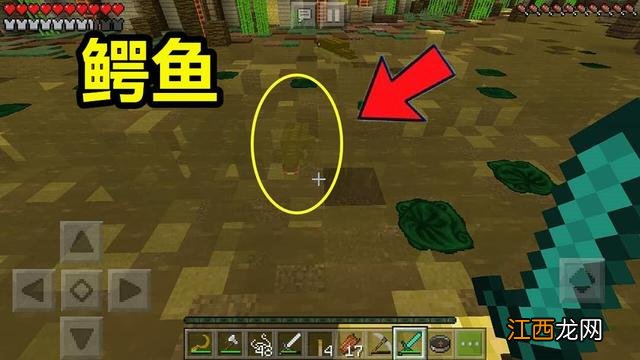 每股股利和每股收益有什么区别