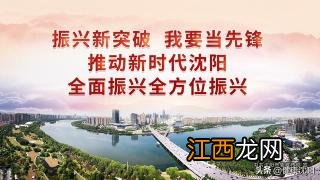 哈士奇跟阿拉斯加的区别