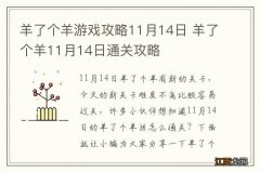 羊了个羊游戏攻略11月14日 羊了个羊11月14日通关攻略