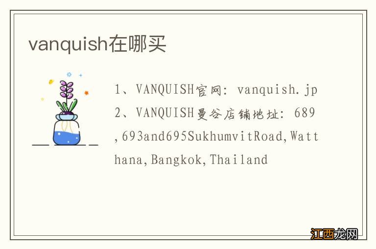 vanquish在哪买