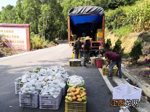 高级美容师证补贴怎么领